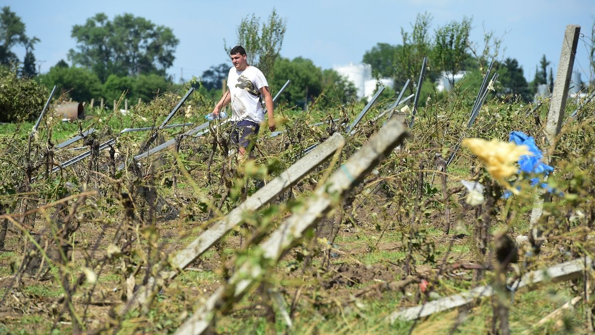 Tornádem poničené obce potřebují pomoc i s čištěním polí a vinic